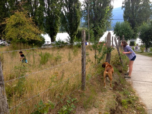 Lucas and McKenna playing across the fence