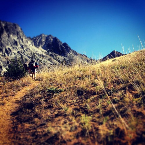 Hiking through Siligo Meadows