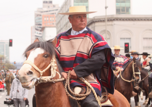 Huaso Penquista ! Flickr - Photo Sharing!
