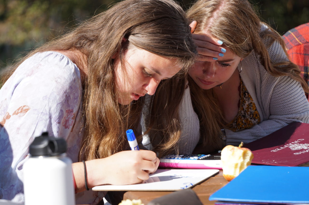 Teaching Fellow Class: Equity vs. Equality